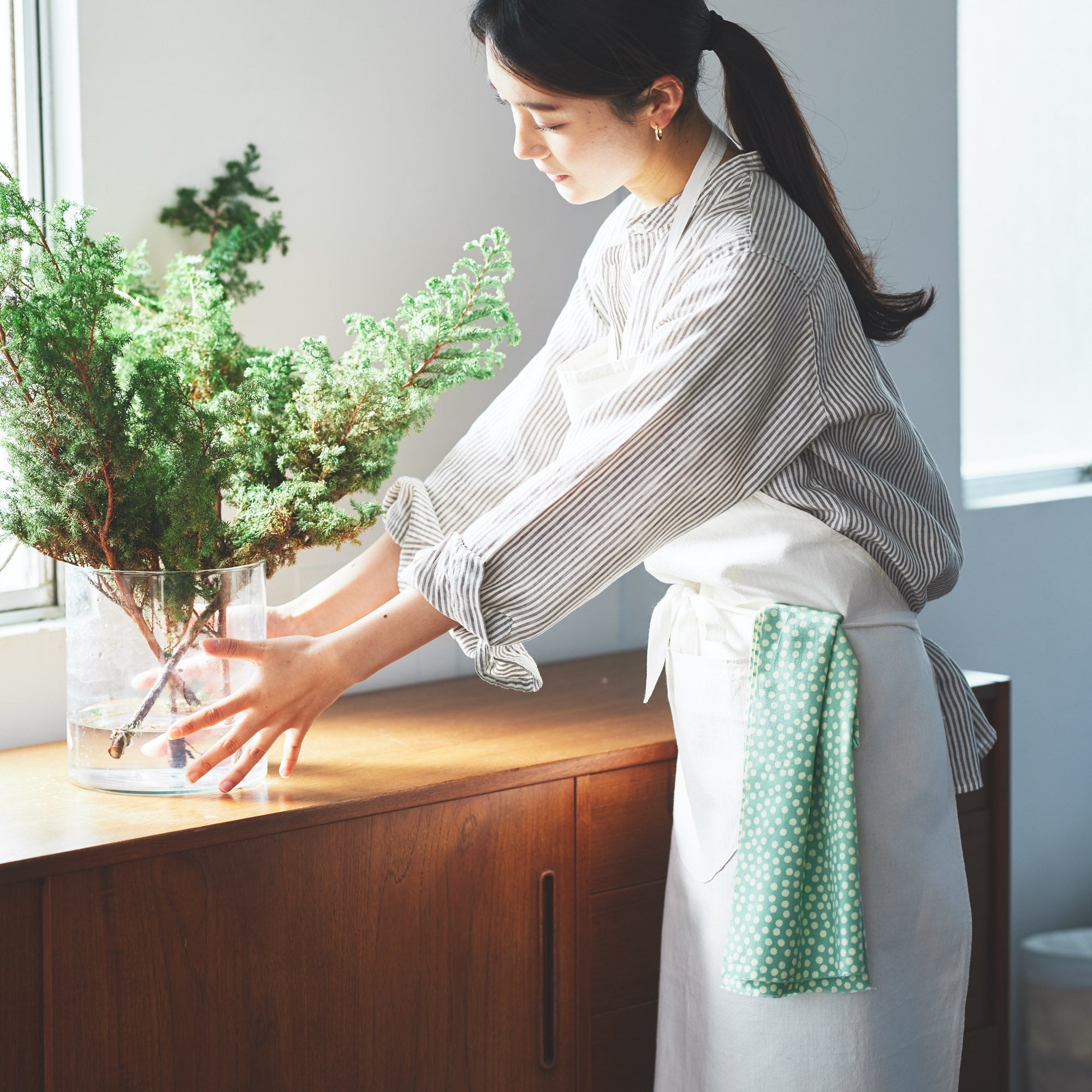 あられ 淡緑